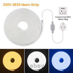 1-25m LED Strip Neon Flex Rope Light Waterproof 220V Flexible Outdoor Lighting