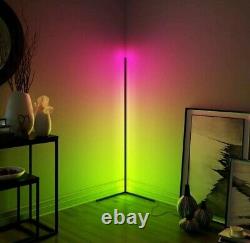 Colour Changing Neon Sign Light Minimalist LED Corner Floor Lamp with Remote