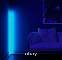 Colour Changing Neon Sign Light Minimalist LED Corner Floor Lamp with Remote