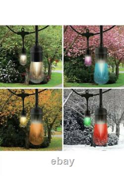 Enbrighten Seasons Color-Changing Vintage LED Cafe Lights, 24 Bulbs, 48ft. Black