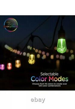 Enbrighten Seasons Color-Changing Vintage LED Cafe Lights, 24 Bulbs, 48ft. Black