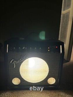 Fender guitar amplifier Lamp Multi Coloured Bulb Flashing, fading Solid, Dimming