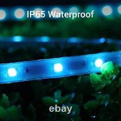 Novostella 32M Outdoor LED Rope Light, 105ft 52.5x2 Music Sync IP66 Waterproof