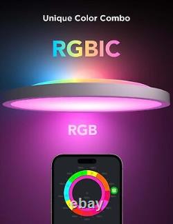 RGBIC LED Smart Ceiling Light Fixture 30Cm, Flush Mount Light Fixture