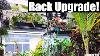 Upgrading Plant Racks And A Few New Plants Saturday Vlog