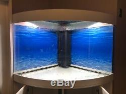 White Juwel Trigon 190 Corner Fish Tank LED Colour Changing Bluetooth Lights